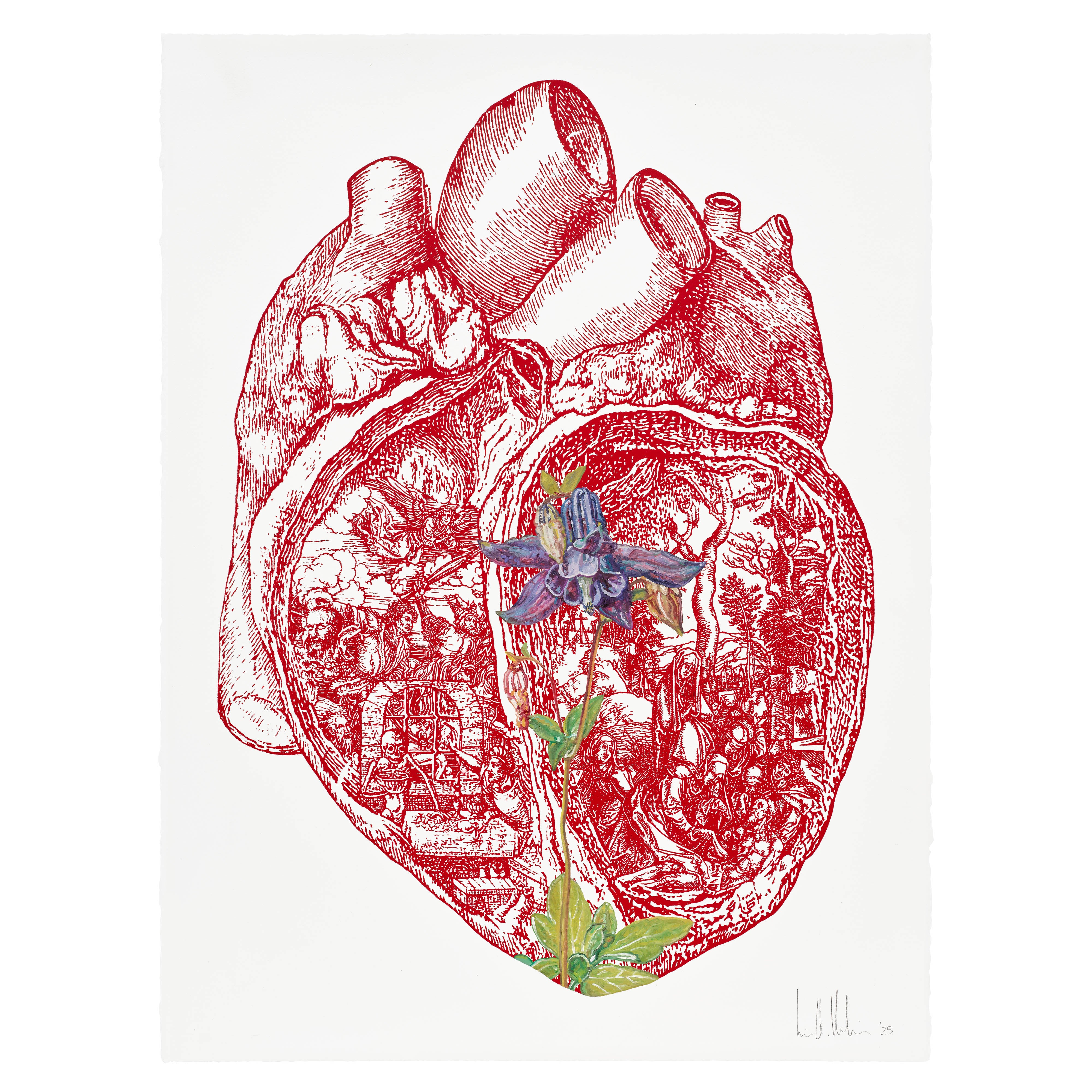 Eric Helvie, Little Heart (Columbine after Dürer) – Dropshop