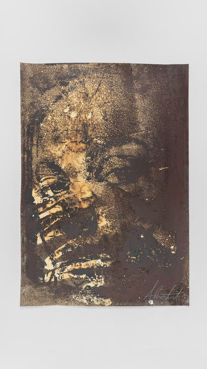 Alexandre Farto aka VHILS